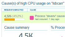 LeanSentry automatically detects errors, slow performance, high CPU, any many other common problems and notifies you about it